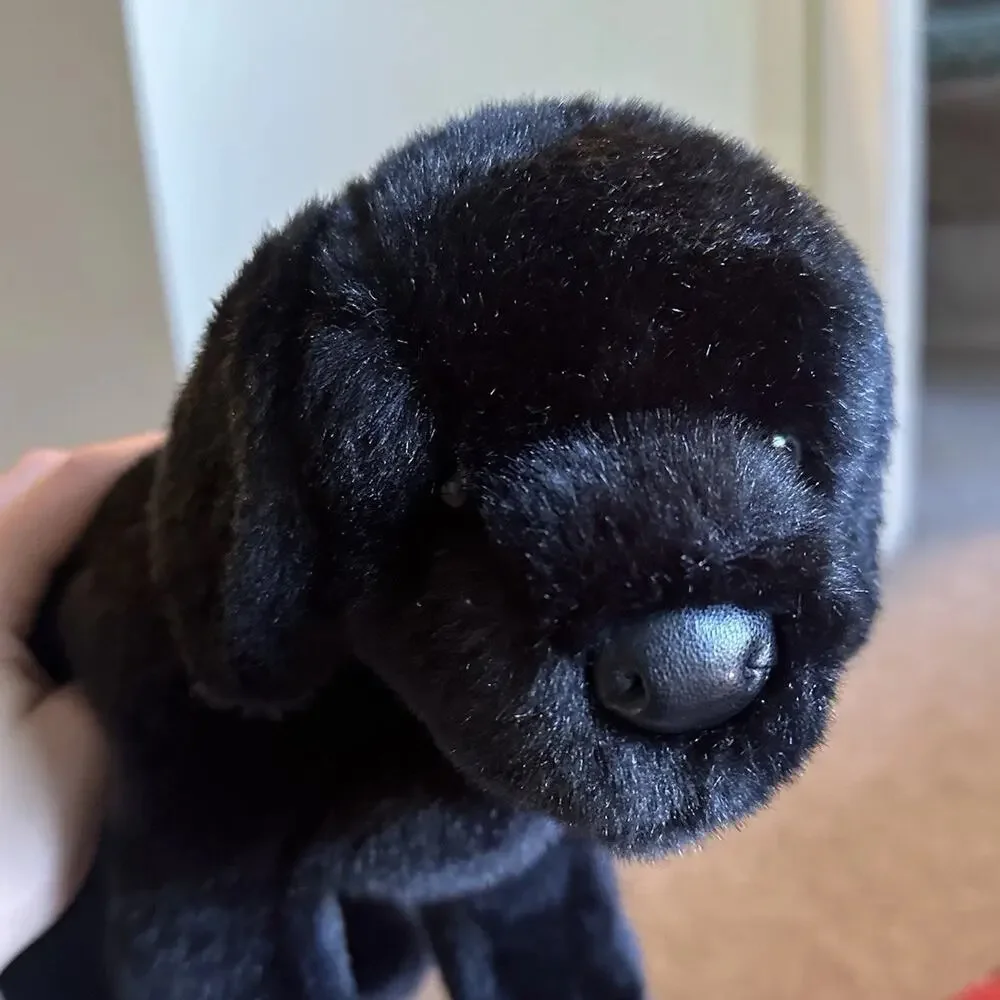Retired Douglas Chester Black Lab Plush Dog #1805 Labrador Retriever 16” 2014